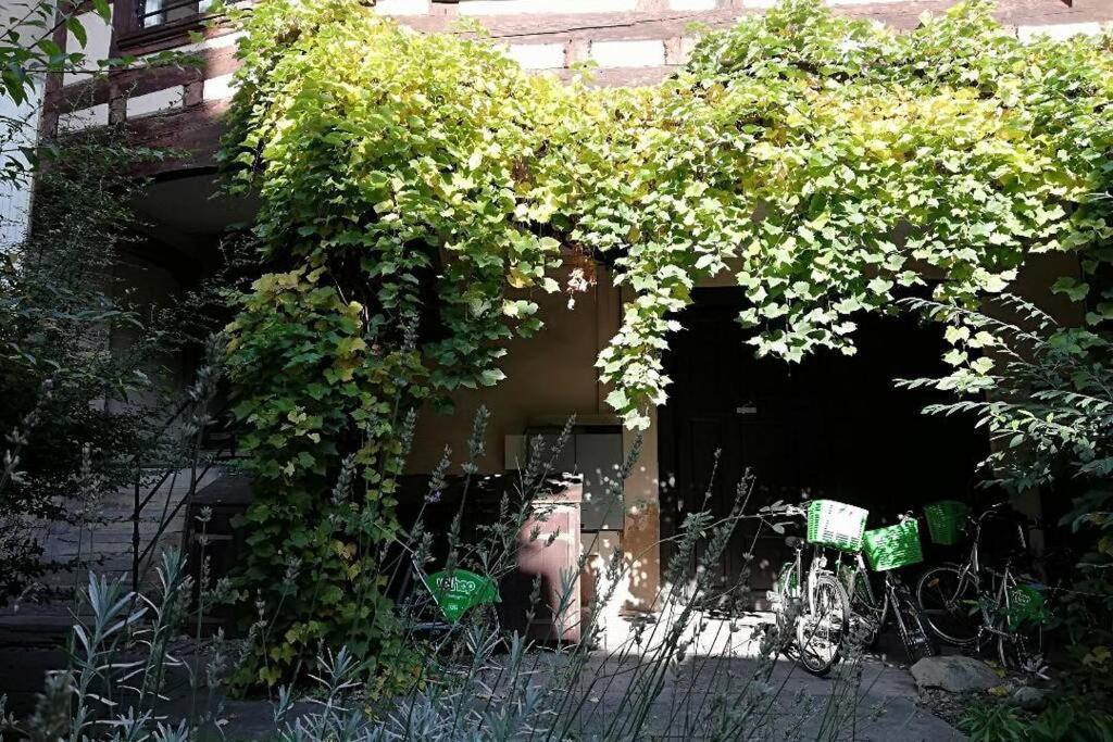 Apartamento La Chaumiere Estrasburgo Exterior foto